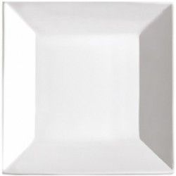 PLATO CUADRADO DE PORCELANA 20X20 CM -